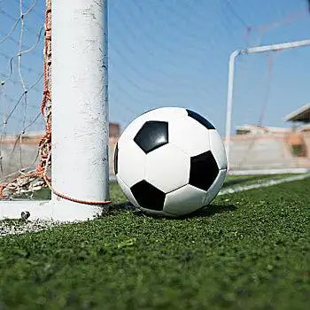 500万完整比分电脑版界面展示